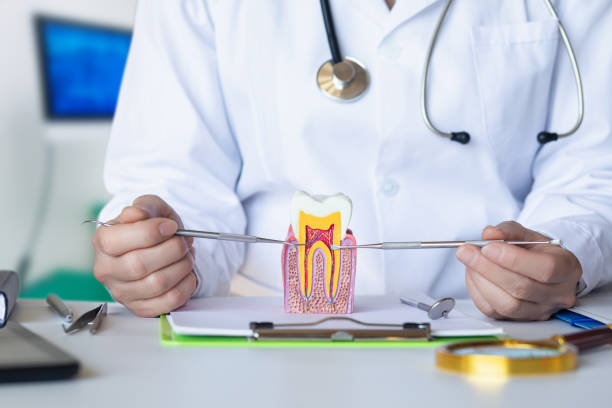 Best Emergency Treatment for Jaw Pain or Injury in Olympia Heights, FL